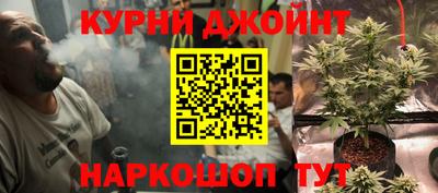 альфа пвп Заводоуковск