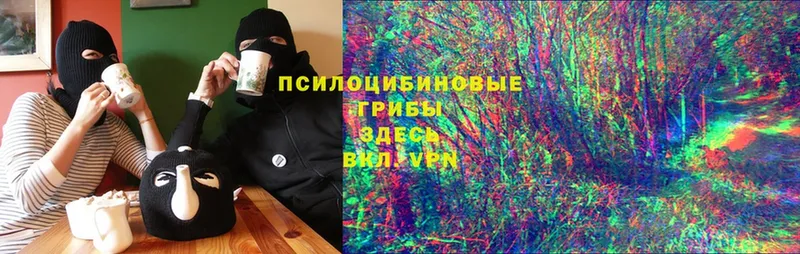 Псилоцибиновые грибы Magic Shrooms Чистополь