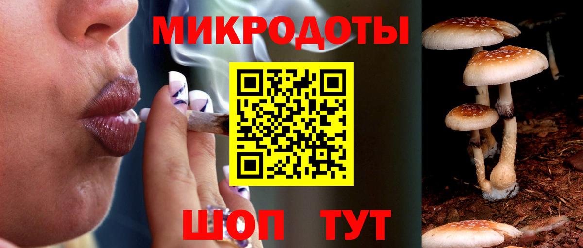 Чистополь  Галлюциногенные грибы Psilocybe  Галлюциногенные грибы Psilocybe  Вход с VPN 